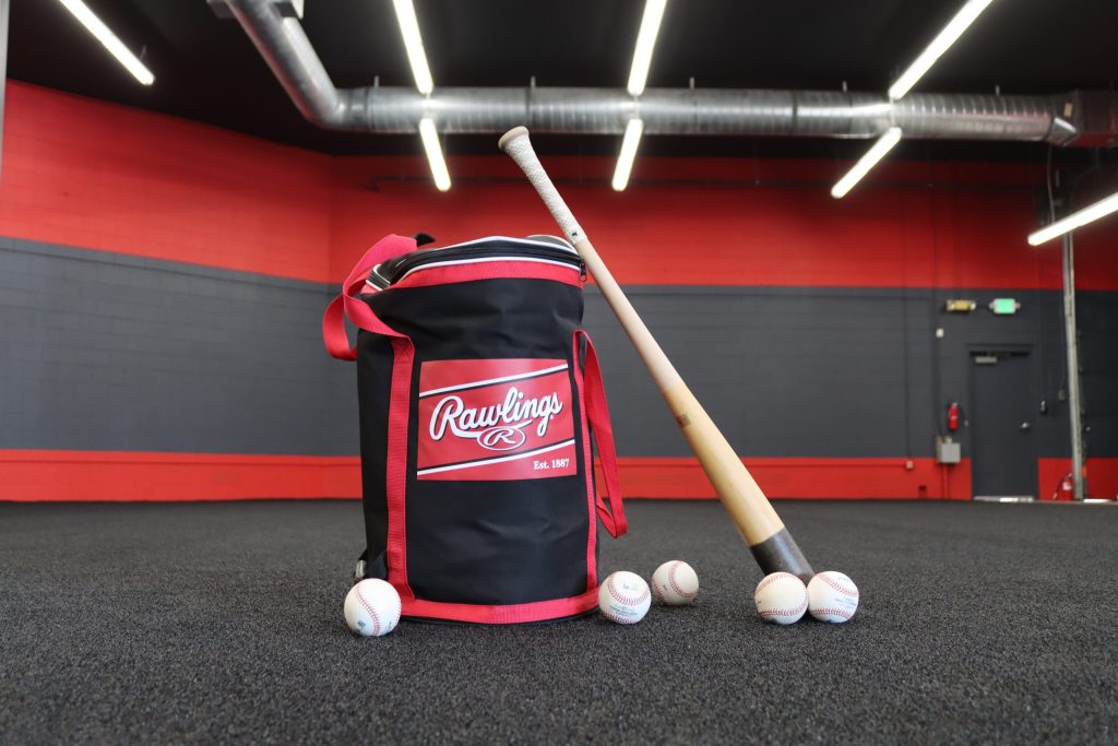 Baseball bag and bat